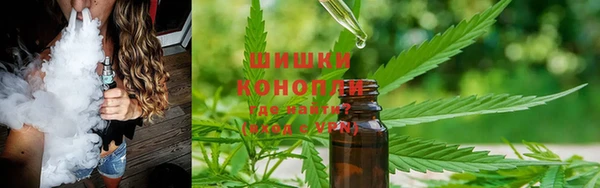 гидропоника Алзамай