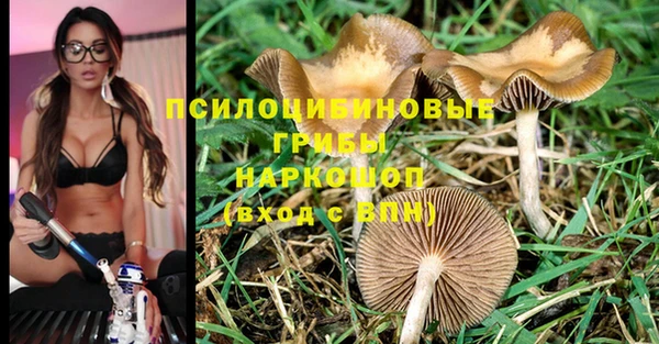 герыч Абаза