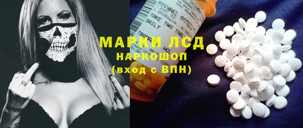 гидропоника Алзамай