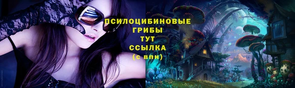 гидропоника Алзамай